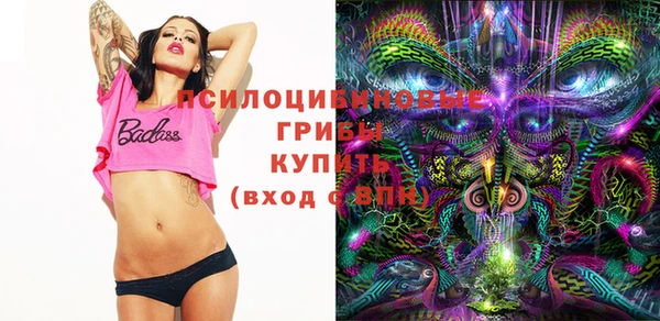 прущий лед Аркадак