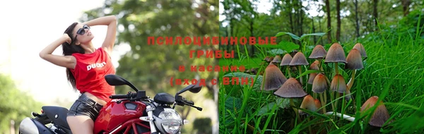 сатива Домодедово